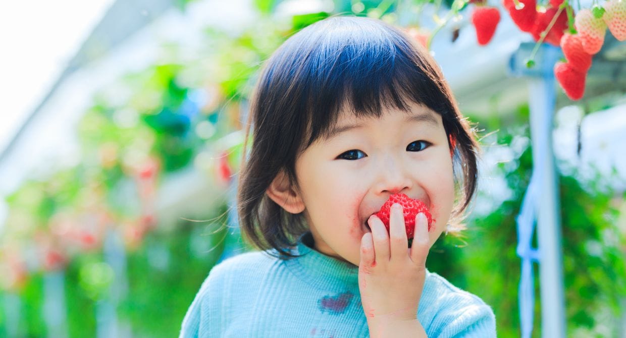 Teach Your Children How to Try New Foods